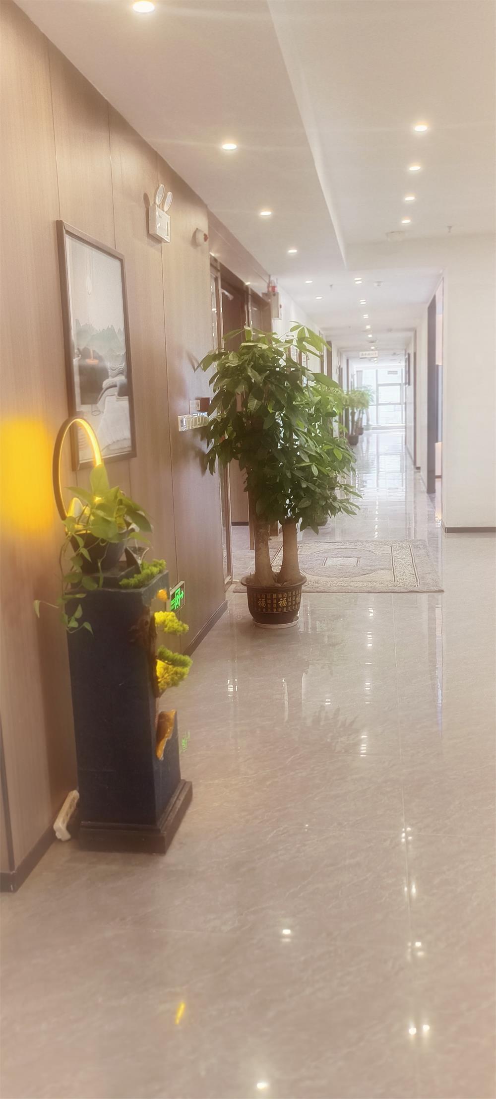 公司办公室走廊