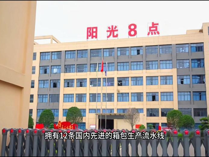 湖南阳光箱包有限公司