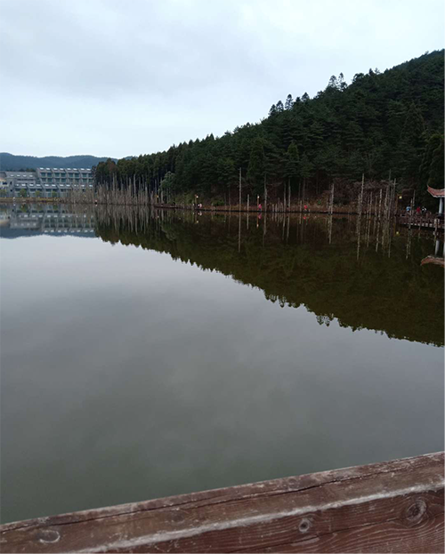 湖南力民电梯有限公司,邵阳电梯销售,邵阳电梯安装,湖南电梯维修,自动扶梯,自动人行梯