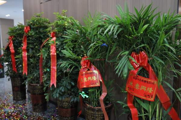 湖南力民电梯有限公司,邵阳电梯销售,邵阳电梯安装,湖南电梯维修,自动扶梯,自动人行梯