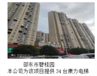 湖南力民电梯有限公司,邵阳电梯销售,邵阳电梯安装,湖南电梯维修,自动扶梯,自动人行梯