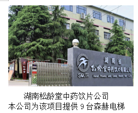 湖南力民电梯有限公司,邵阳电梯销售,邵阳电梯安装,湖南电梯维修,自动扶梯,自动人行梯