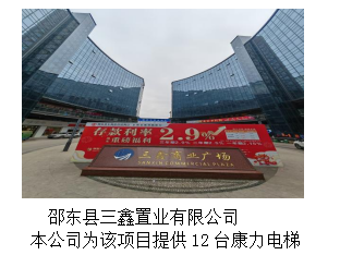 湖南力民电梯有限公司,邵阳电梯销售,邵阳电梯安装,湖南电梯维修,自动扶梯,自动人行梯