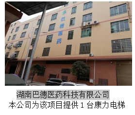 湖南力民电梯有限公司,邵阳电梯销售,邵阳电梯安装,湖南电梯维修,自动扶梯,自动人行梯